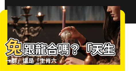 兔跟龍合嗎 房 意味